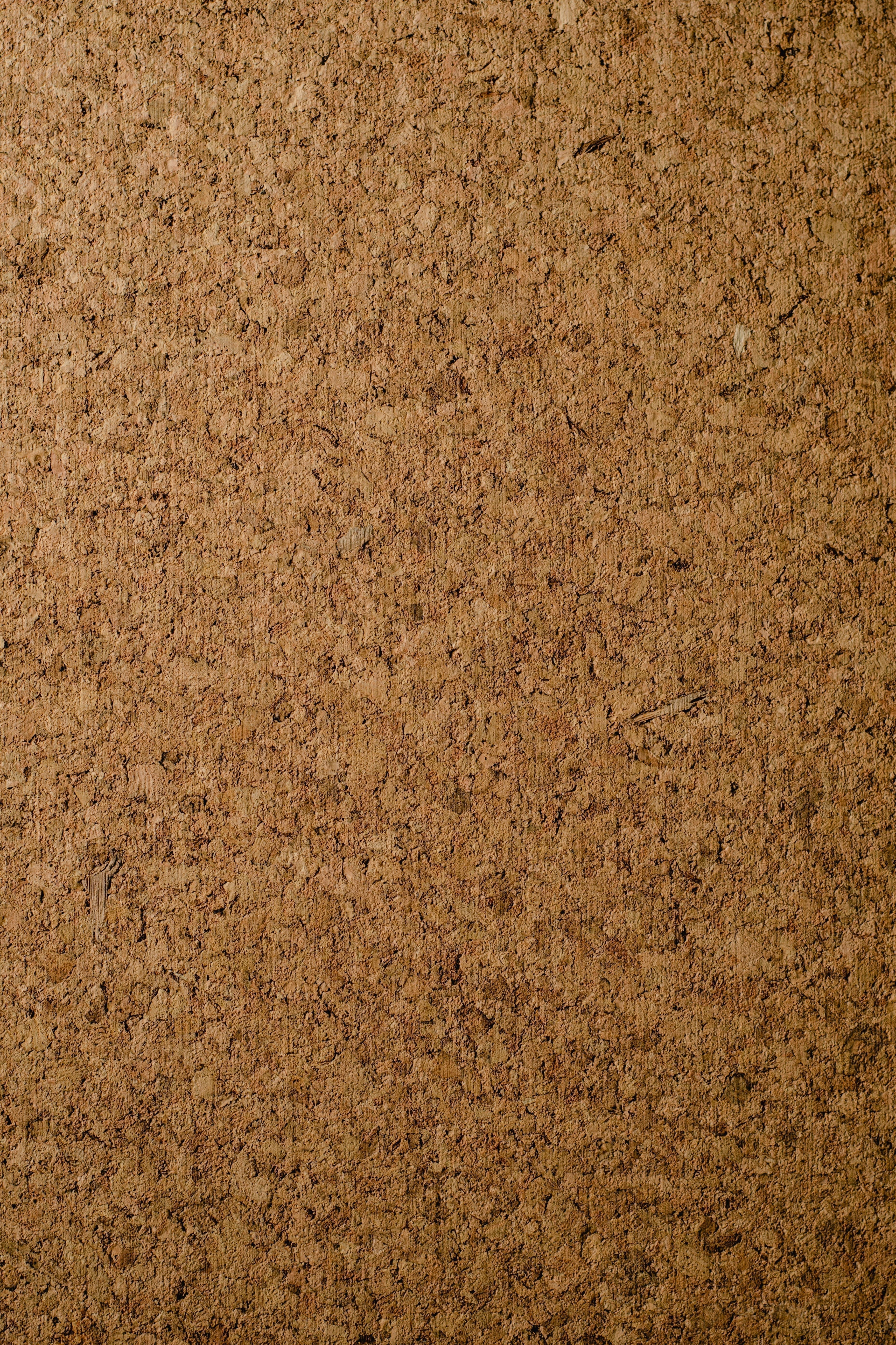 The Lifecycle of a Cork Yoga Mat: From Tree to Practice