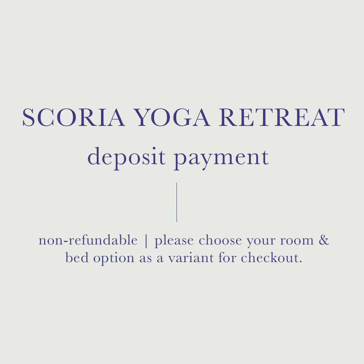 Scoria Yoga Retreat - Payment in FULL *Do not add discounts at checkout* - Scoria World
